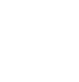 SEQ IT Services