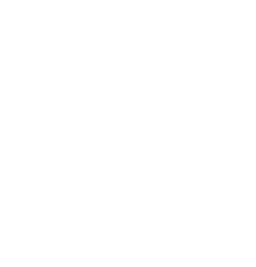 SEQ IT Services